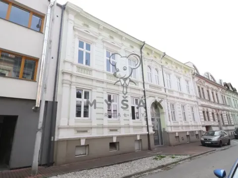 Pronájem bytu 2+kk, České Budějovice - České Budějovice 3, Riegrova, 54 m2