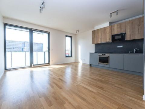 Pronájem bytu 2+kk, Praha - Žižkov, U Viktorie, 58 m2