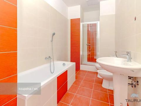 Prodej bytu 3+1, Janovice nad Úhlavou, Rozvojová zóna, 100 m2
