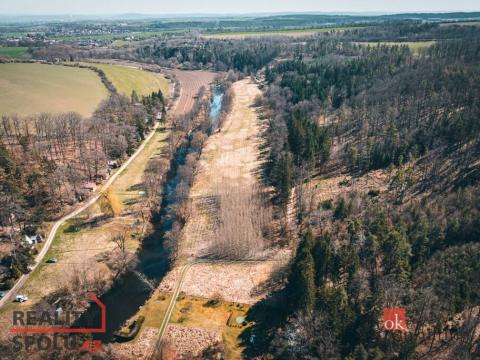 Prodej lesa, Plešnice, 4109 m2