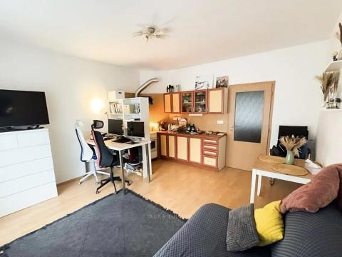 Pronájem bytu 1+kk, Praha - Hloubětín, Nepelova, 45 m2