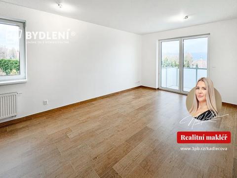 Pronájem bytu 2+kk, Teplice, Novoveská, 54 m2