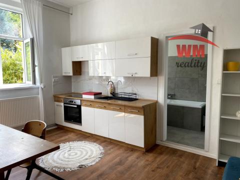 Pronájem bytu 1+1, Dalovice, U Kostela, 38 m2