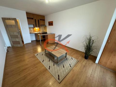 Pronájem bytu 1+kk, Rožnov pod Radhoštěm, Meziříčská, 26 m2