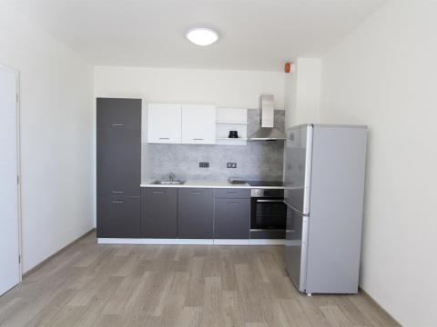 Pronájem bytu 1+kk, Brno, Bělohorská, 40 m2