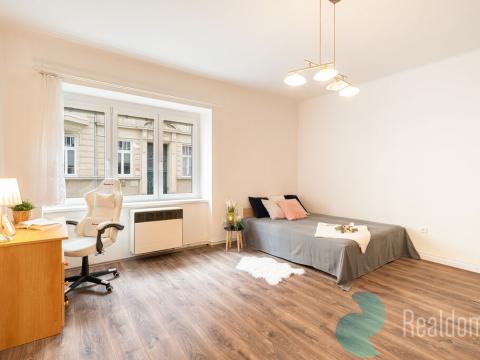 Prodej bytu 1+kk, České Budějovice, Riegrova, 32 m2