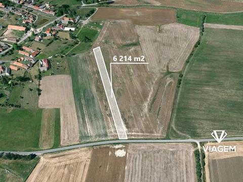 Prodej podílu pole, Mažice, 1553 m2