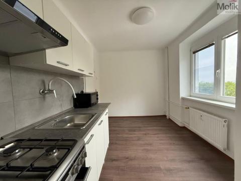 Prodej bytu 3+1, Litvínov - Chudeřín, Horská, 58 m2
