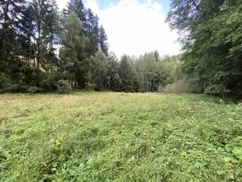 Dražba louky, Úterý, 7600 m2