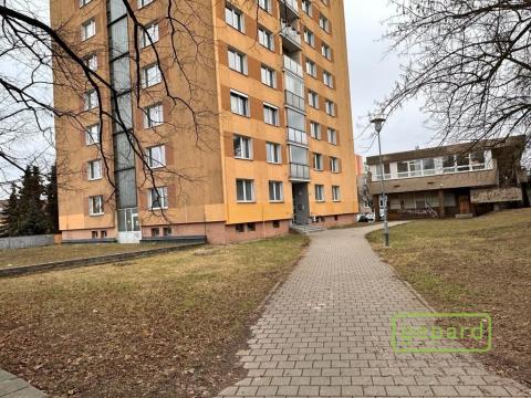 Pronájem bytu 1+1, Brno, Palackého třída, 39 m2