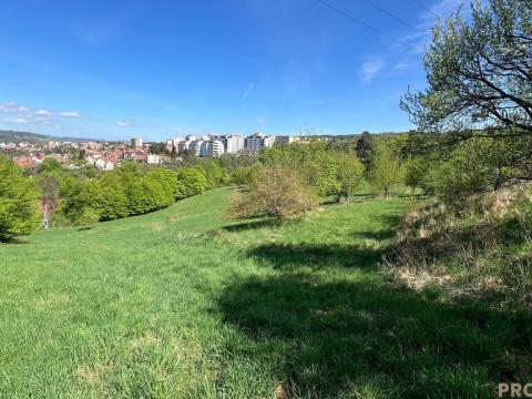 Prodej komerčního pozemku, Blansko - Klepačov, 10598 m2