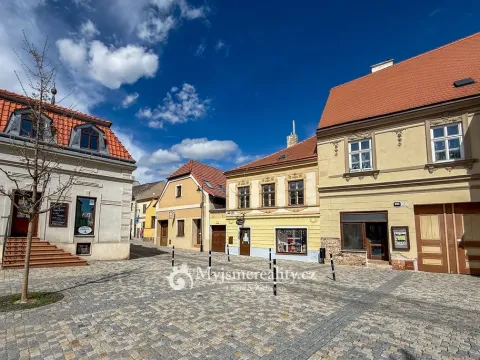 Prodej rodinného domu, Znojmo, Horní Česká, 300 m2
