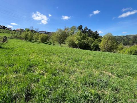Prodej zahrady, Blansko - Klepačov, 10598 m2