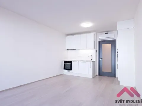 Pronájem bytu 1+kk, Praha - Žižkov, Jana Želivského, 34 m2