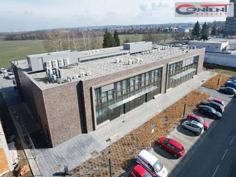 Pronájem obchodního prostoru, Říčany, Obchodní, 260 m2