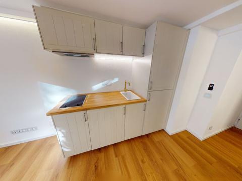 Prodej bytu 1+kk, Praha - Břevnov, Nad Kajetánkou, 17 m2