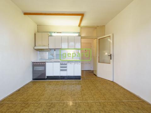 Pronájem bytu 1+kk, Chodov, Jiráskova, 19 m2