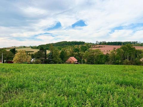 Prodej pozemku pro bydlení, Blšany - Malá Černoc, 1500 m2