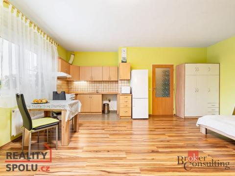 Prodej bytu 1+kk, Plzeň - Severní Předměstí, Sedlecká, 45 m2