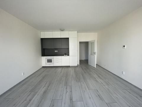 Pronájem bytu 1+kk, České Budějovice - České Budějovice 2, Na Zlaté stoce, 36 m2