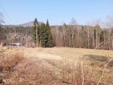 Prodej pozemku pro bydlení, Janská, 22894 m2