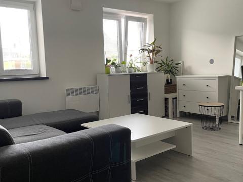 Pronájem bytu 2+kk, Litultovice, 55 m2