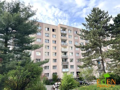 Pronájem bytu 1+kk, Plzeň, Staniční, 25 m2