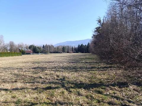 Prodej pozemku pro bydlení, Pstruží, 6487 m2