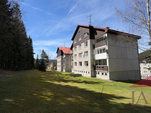 Prodej bytu 3+1, Srní, 73 m2