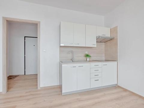 Pronájem bytu 1+kk, Orlová, Adamusova, 33 m2