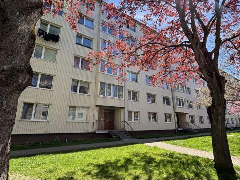 Prodej bytu 2+1, Horní Slavkov, Dlouhá, 49 m2