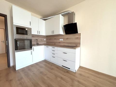 Pronájem bytu 1+kk, Plzeň - Skvrňany, Františka Kováříka, 36 m2