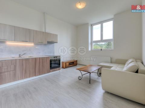 Pronájem bytu 2+kk, Janovice nad Úhlavou, Rozvojová zóna, 39 m2