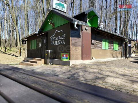 Prodej restaurace, Orlová - Lutyně, Modřínová, 330 m2
