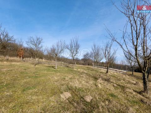 Prodej zahrady, Šarovy, 3729 m2