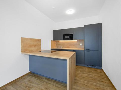 Pronájem bytu 1+kk, Plzeň - Severní Předměstí, Bolevecká, 40 m2