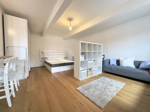 Pronájem bytu 1+1, Praha - Žižkov, Ambrožova, 46 m2