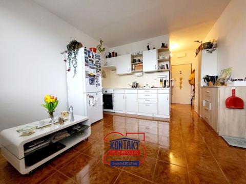 Pronájem bytu 1+1, České Budějovice, Emy Destinové, 39 m2