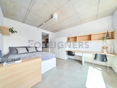 Pronájem bytu 1+kk, Brno, Dornych, 24 m2