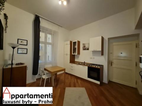 Prodej bytu 1+kk, Praha - Staré Město, Masná, 35 m2