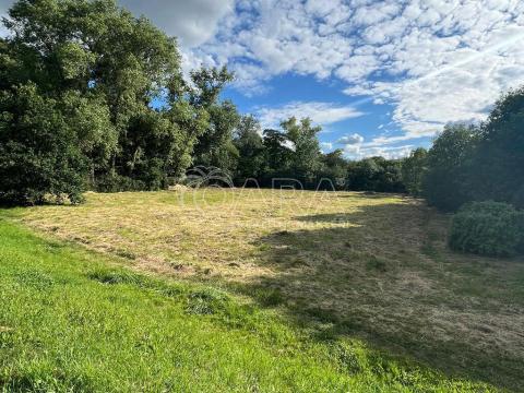 Prodej louky, Hostivice, Slunečnicová, 2892 m2