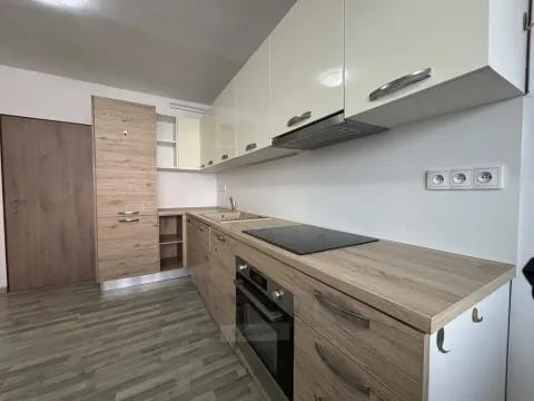 Pronájem bytu 1+1, České Budějovice - České Budějovice 4, Dobrovodská, 41 m2