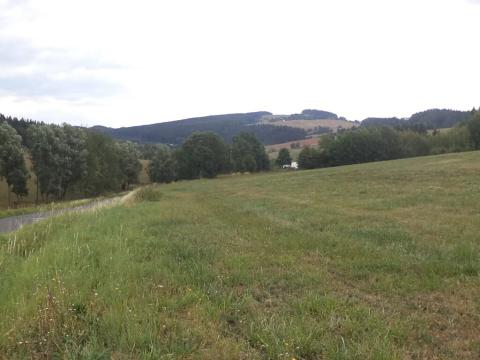 Dražba pole, Nová Paka, 5510 m2
