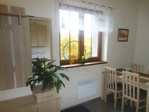 Pronájem bytu 1+1, Karlovice, 31 m2