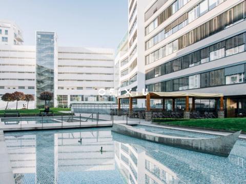 Pronájem obchodního prostoru, Brno - Staré Brno, Nové sady, 480 m2
