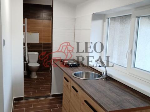 Pronájem bytu 1+kk, Provodín - Srní u České Lípy, 23 m2
