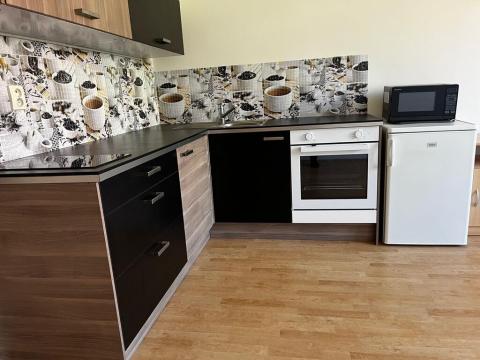 Pronájem bytu 1+kk, Praha - Nusle, Doudlebská, 27 m2