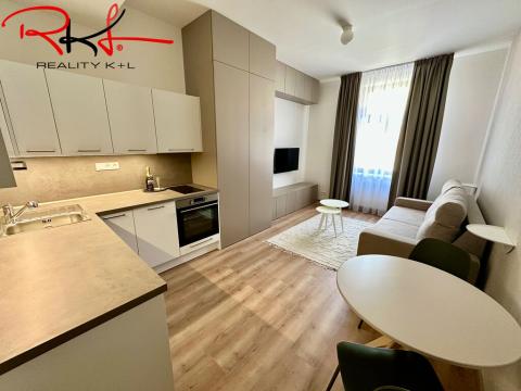 Pronájem bytu 1+kk, Praha - Podolí, Sinkulova, 28 m2