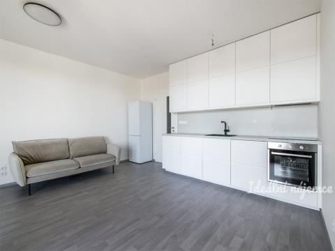Pronájem bytu 1+kk, Praha - Žižkov, Olgy Havlové, 38 m2