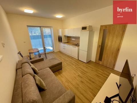 Pronájem bytu 1+kk, Opava, Ovocná, 29 m2